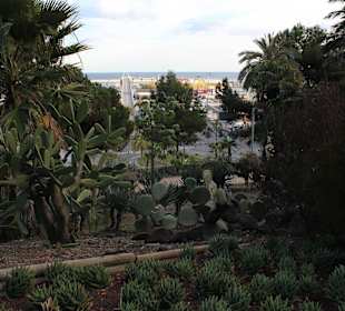 Jardins de Costa i Llobera
