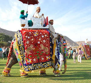 Elefant  Festival in Jaipur