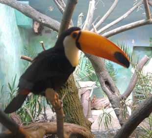 Zoo Warszawa