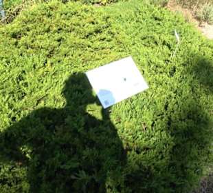 Botanischer Garten München