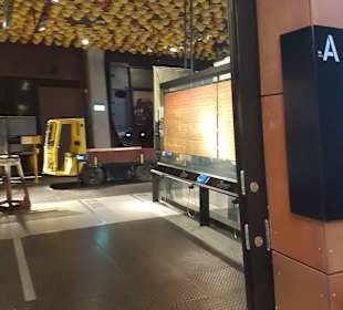 Europejskie Centrum Solidarności