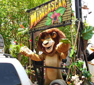 Universal Studios Orlando