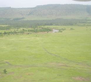 Safari Masai Mara