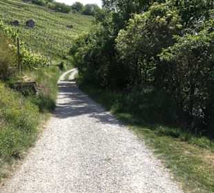 Früchtetrauf - Wurmlinger Kapellenwegle