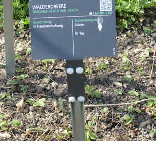 Erläuterungen der Kräuter