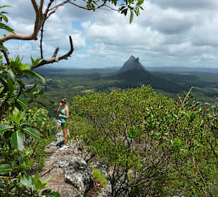 Plants on the mountains