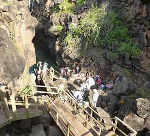 Alle wollten ins Wasser, und das war kalt