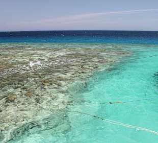 Schnorchel-Stopp / Mittagspause