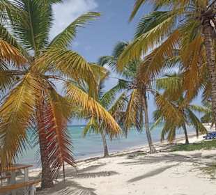 Punta Cana auf Deutsch - einfach schöne Ausflüge
