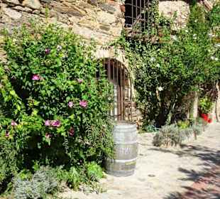 Impressionen aus Castelnou