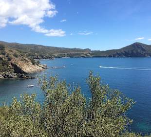 Wandern Roses / Rosas