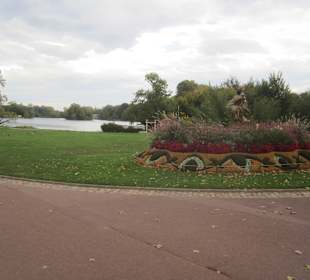 Вид на пруд