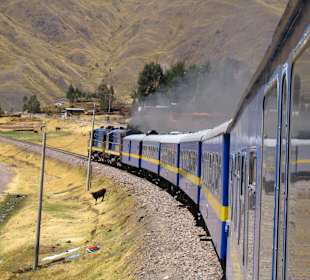 Andean Express