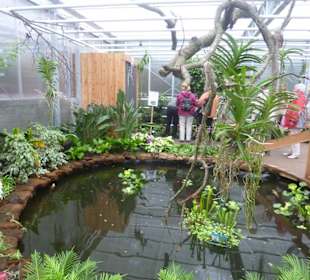 Im Schmetterlingshaus