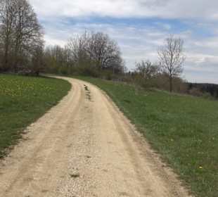 Spielplatz Lehmbuchenweg Apfelstetten