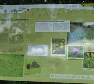 Wanderweg Ammerbucher Gigeleswegle