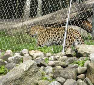 Serengeti Park Hodenhagen