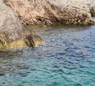 Bootstour Poseidon Çesme