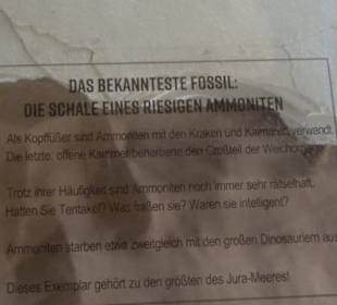 Dinosaurier Museum Altmühltal