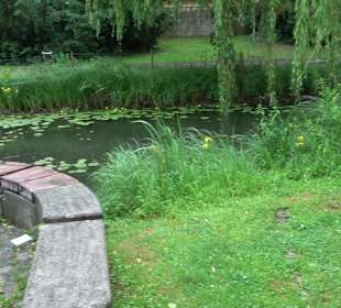 Forellenbächle Glacis Park