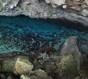 Ausflug zum National Park Los Tres Ojos mit Andy