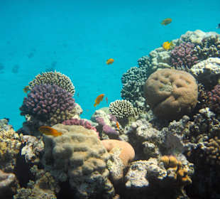 Wunderbare Rifflandschaft