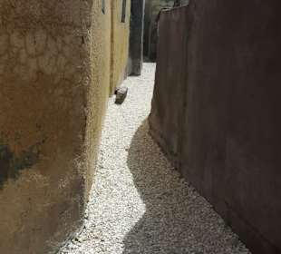 Alles ist auf Muscheln gebaut