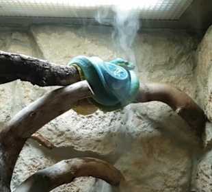 Exotarium