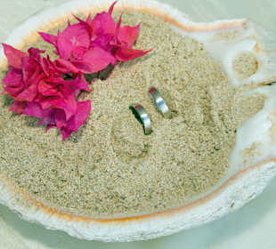 Muschel für unsere Ringe