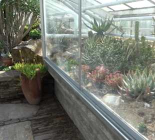 Gewächshäuser Botanischer Garten