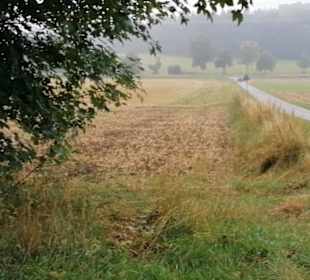 Waldwichtel Eninger Weide