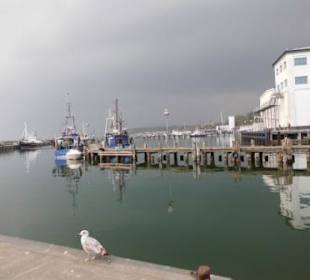 Hafen