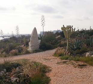 Kakteengarten am Skulpturenpark