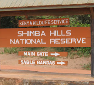 Am Gate