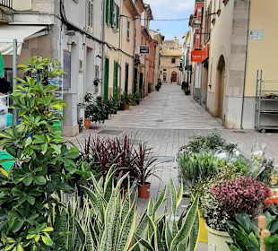 Altstadt Alcudia