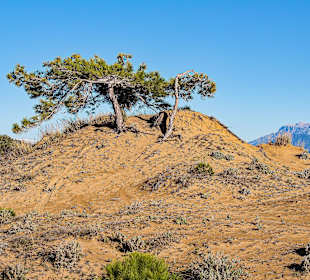 Wandern Side - Gündogdu