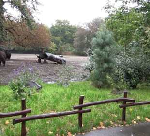 Tierpark