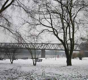 Am Rhein im Winter