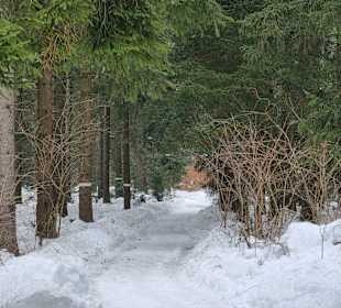 Wandern St. Englmar