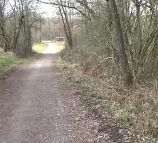 Rundwanderung durch den Rauhen Rammert Hemmendorf