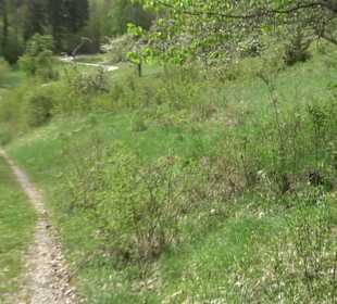 Wandertour durchs Reissenbachtal Oberhausen