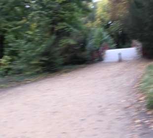 Schlosspark Charlottenburg