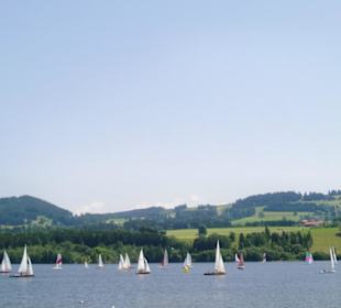 Segelregatta am Rottachsee