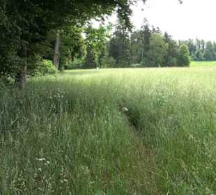 Premiumwanderweg "hochgehackert"