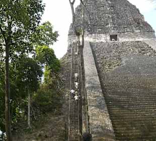 Tempel V