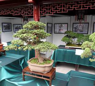 Yu Garden