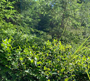 Wandern St. Jakob im Defereggental