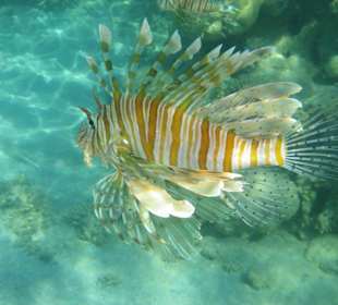 Unterwasser - Hotel Premier Le rêve