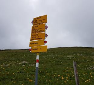 Wanderwegweiser in Savognin