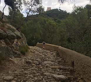 Kloster Sant Salvador